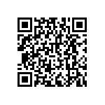 RNCF2512DTC45R3 QRCode