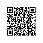 RNCF2512DTC95R3 QRCode