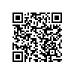 RNCF2512DTE1M91 QRCode