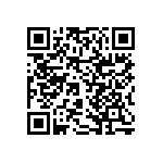 RNCF2512DTE383R QRCode