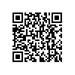 RNCF2512DTE38R3 QRCode