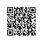 RNCF2512DTE3K24 QRCode