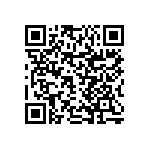 RNCS0402DTC30K1 QRCode