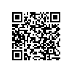 RNCS1206BKE13K3 QRCode