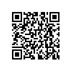 RNCS1206BKE392R QRCode