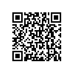 RNR55H1002BPBSL QRCode