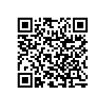 RNR55H1002BSRSL QRCode