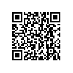 RNR55J2873BRB14 QRCode