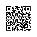 RNR55J2941DPB14 QRCode