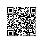 RNR55J2941DPRSL QRCode