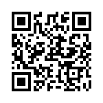 RSE500412 QRCode