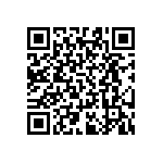 RT0603BRB07294KL QRCode