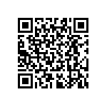 RT0603BRB07300RL QRCode