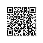 RT1206BRB07294RL QRCode