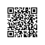 RT1206BRB07300KL QRCode