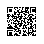 RT1206BRC07113RL QRCode