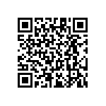 RT1206BRC07124RL QRCode