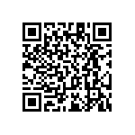 RT1206BRC0719R1L QRCode