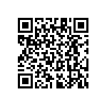 RT1206BRC07309RL QRCode