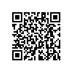 RT1206BRC07316KL QRCode