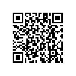 RT1206BRC07787KL QRCode