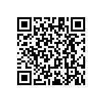 RT1206BRC0790R9L QRCode