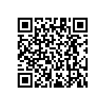 RT1206BRE07953KL QRCode