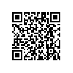 RT1206CRB07147KL QRCode