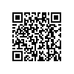 RT1206CRB0716K2L QRCode