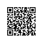 RT1206CRB07174RL QRCode