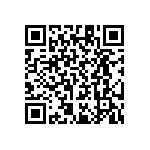 RT1206CRB071K13L QRCode