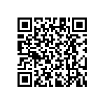 RT1206CRB07205KL QRCode