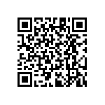 RT1206CRB07294KL QRCode