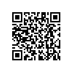 RT1206CRB07301KL QRCode