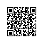 RT1206CRB073K09L QRCode