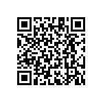 RT1206CRB07402RL QRCode