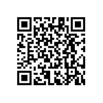 RT1206CRB07430KL QRCode