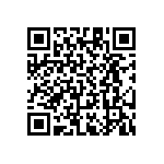 RT1206CRB0743R2L QRCode