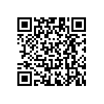 RT1206CRB0743RL QRCode