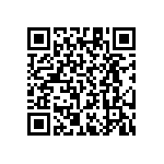 RT1206CRB074K53L QRCode