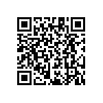 RT1206CRB079K31L QRCode