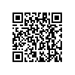 RT1206CRC071K13L QRCode