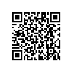 RT1206CRD0729K4L QRCode