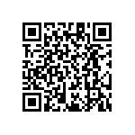 RT1206CRD079K31L QRCode