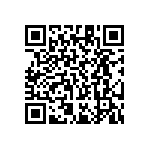 RT1206CRE071K13L QRCode