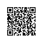 RT1206CRE07383RL QRCode