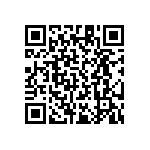 RT1206DRD0717K4L QRCode