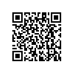 RT1206DRD07243KL QRCode