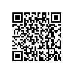 RT1206DRD0724K9L QRCode