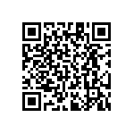 RT1206DRD0729K4L QRCode